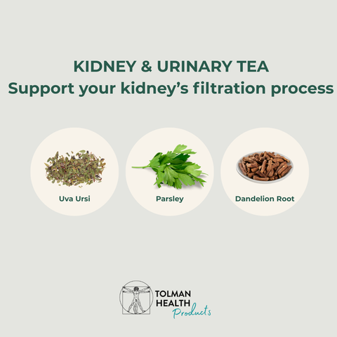 Kidney & Urinary Tea