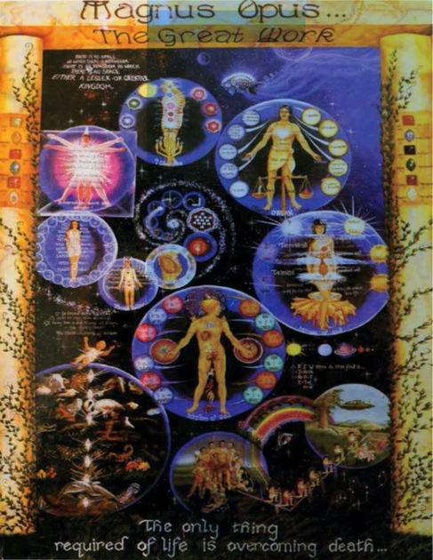 Magnus Opus – Tolman Health